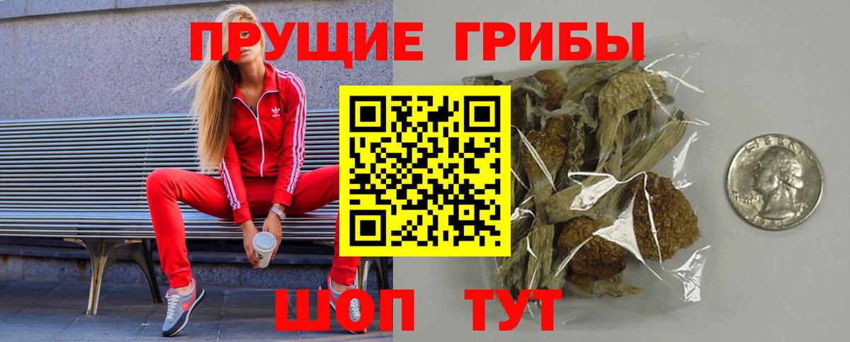 Омск  Псилоцибиновые грибы ЛСД  Вход с VPN 